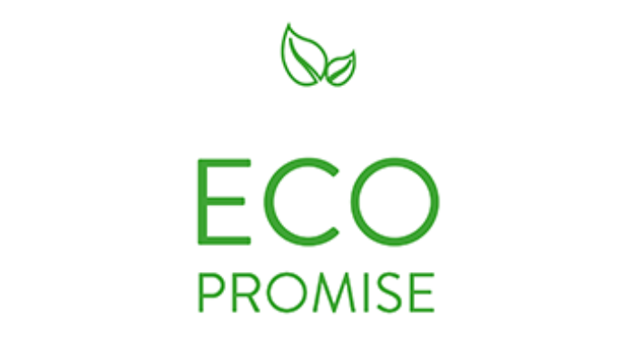 Logo eco