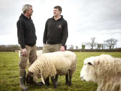 Farmers Gary Liam With The Sheep On The Harrison Spinks Farm
