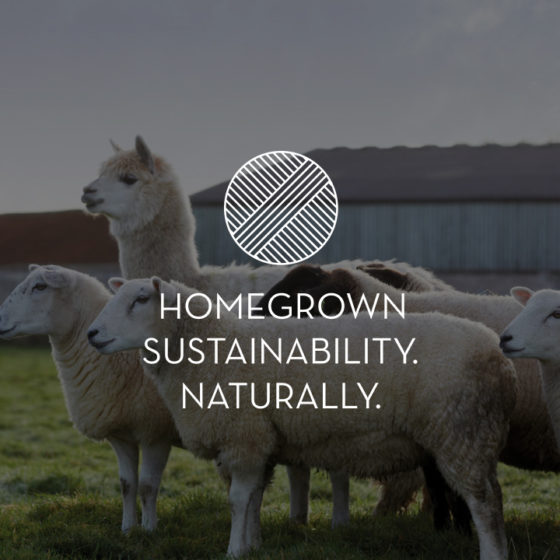 Somnus home grown