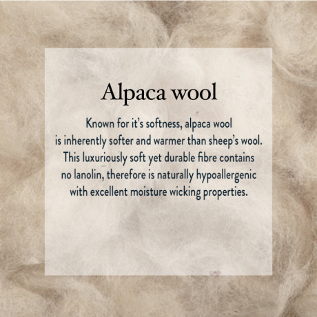 Alpaca