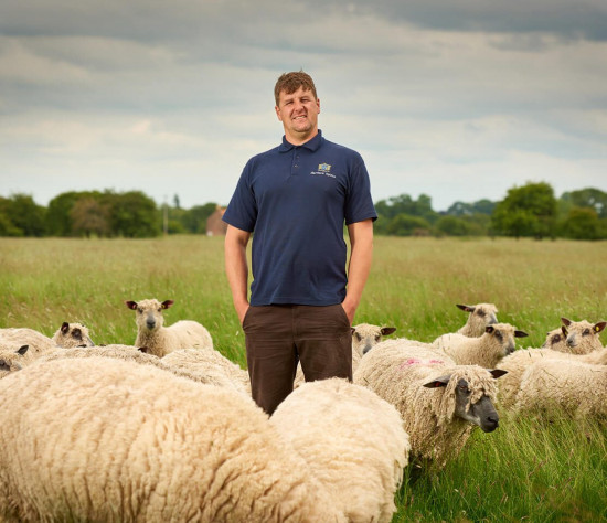 Wool