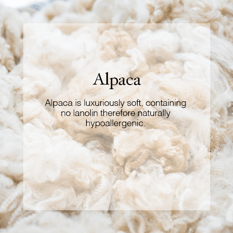 Alpaca