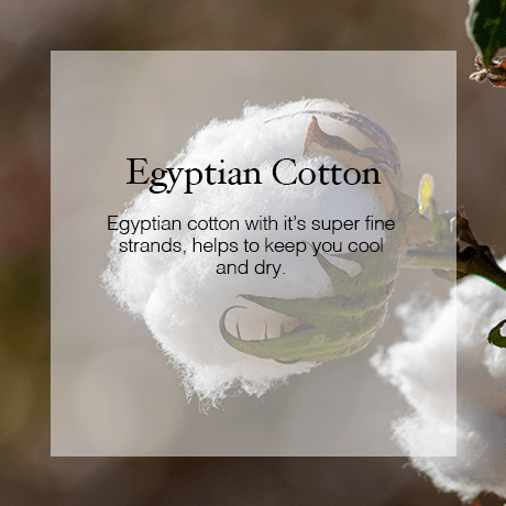 Egyptian Cotton