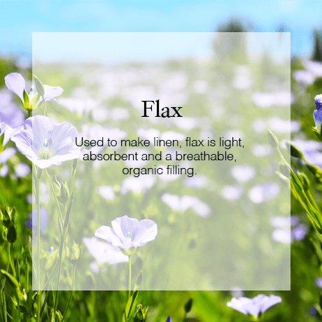 Flax