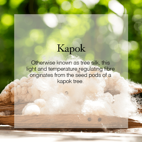 Kapok