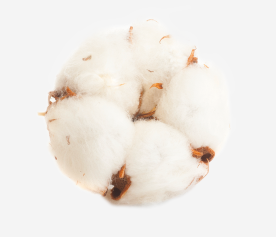 Cotton