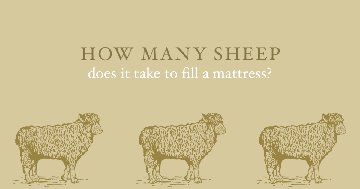 How many sheep does it take to fill a mattress? Harrison Spinks