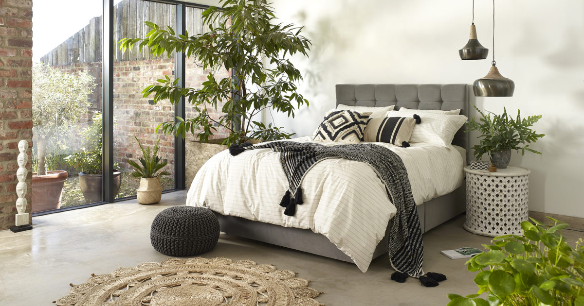 7 Bedroom Plants to Improve Your Sleep Quality | Harrison Spinks