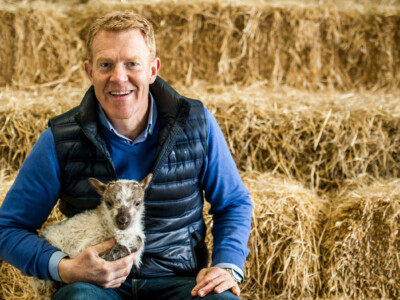 Adam inside lamb 3 2023 08 03 152424 tgfu