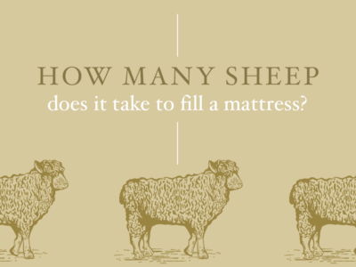 Hs Infographic Shareimage