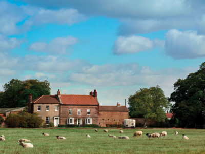 Our Stoy Farm Shot