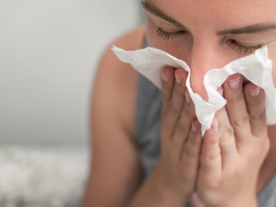 Shutterstock 1488260936