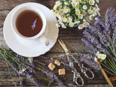 Shutterstock 673846108