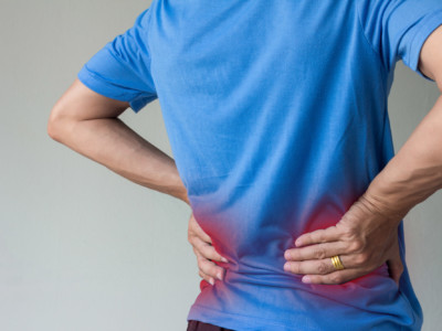 Shutterstock 771429514