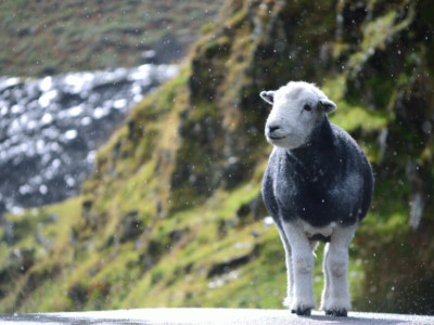 Shutterstock 85063372