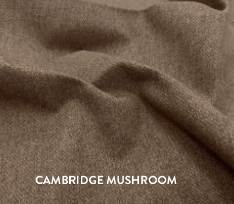 Cambridge Mushroom