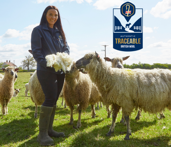 Fillings Traceable Wool 3
