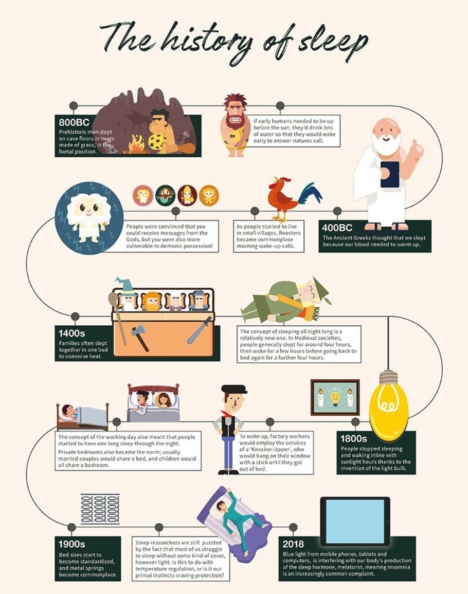 Herdysleep History of Sleep Infographic Sept18 S7