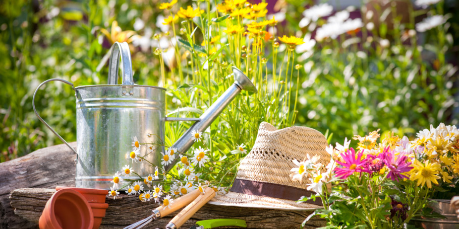 Shutterstock_111443249