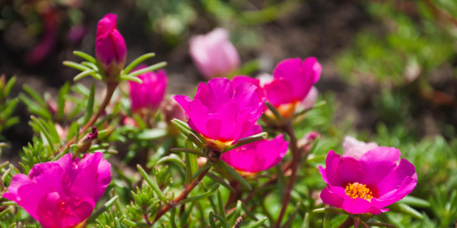 Shutterstock_353908643