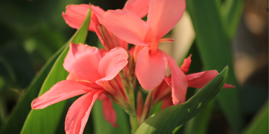 Shutterstock_780581245